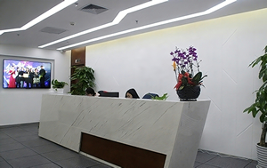 公司前台实景图